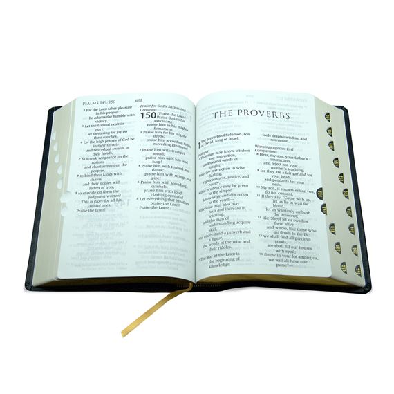 Rsv Catholic Edition Bible Large Print